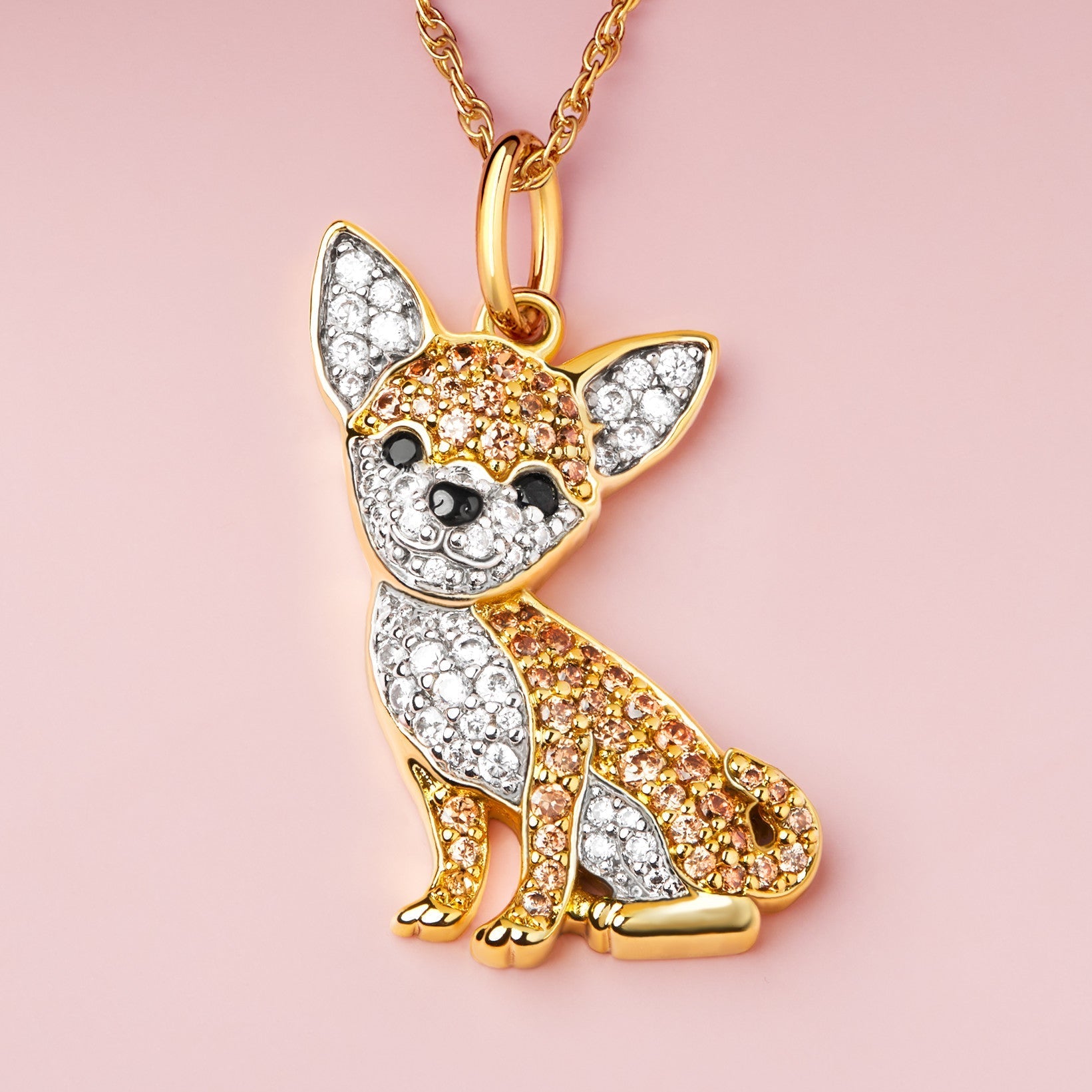 Colar + Pingente Chihuahua | Banhado em Ouro 18K
