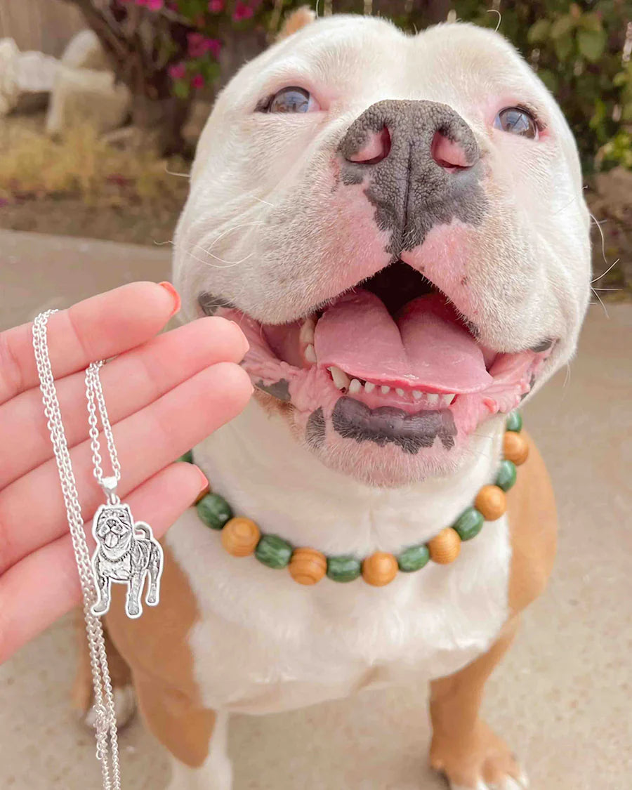 Chaveiro Pet Love - Personalizável