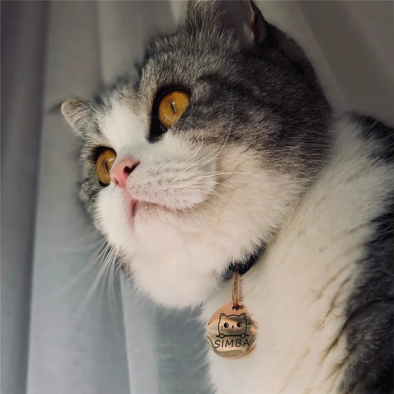 Pingente Toque Felino | Banhado a Ouro 18k