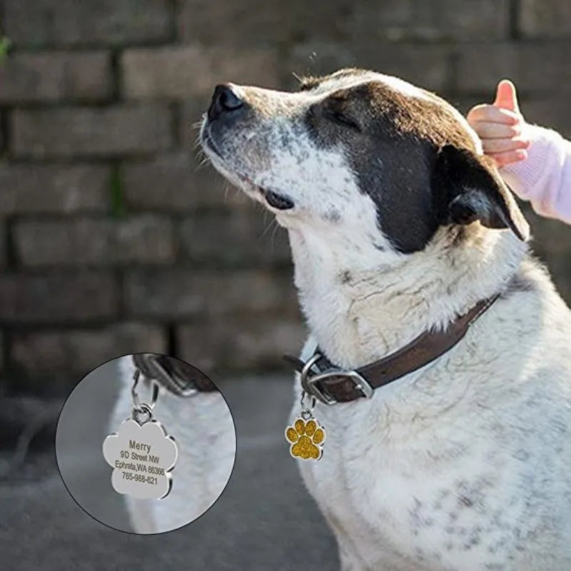 Pingente Pet ID | Com Gravação Personalizada