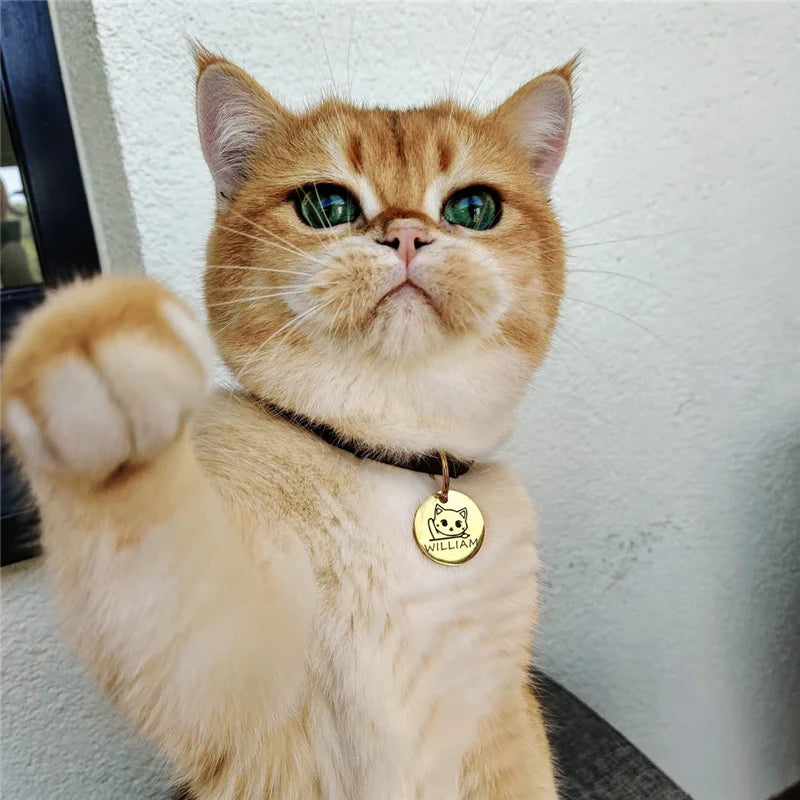 Pingente Toque Felino | Banhado a Ouro 18k