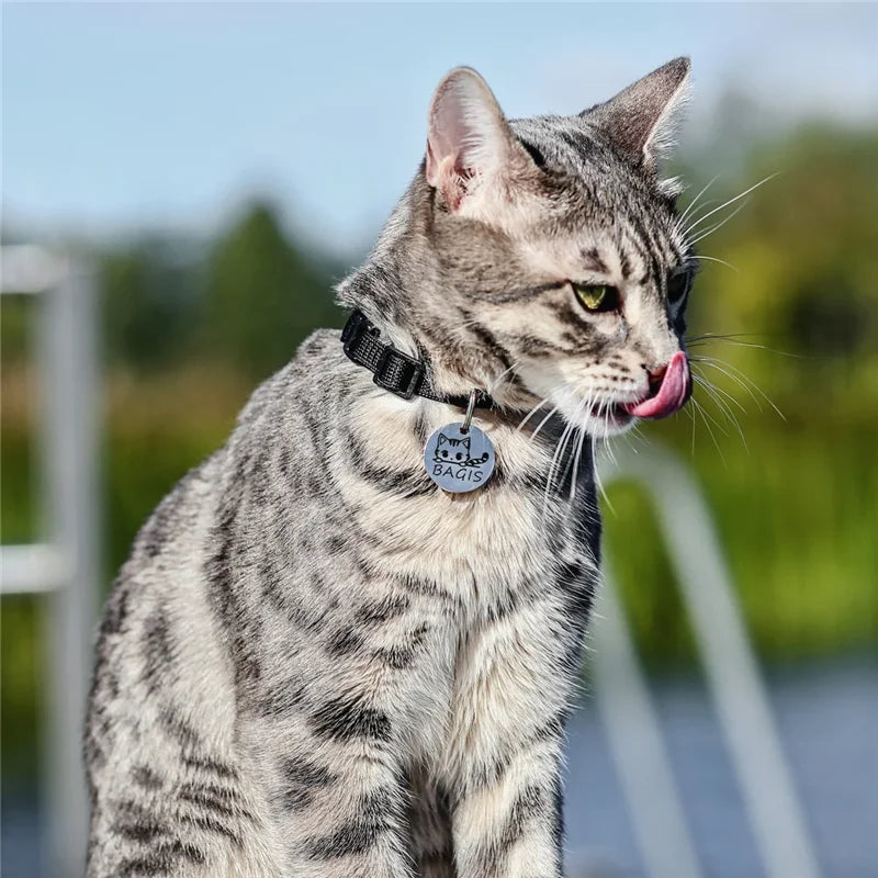 Pingente Toque Felino | Banhado a Ouro 18k