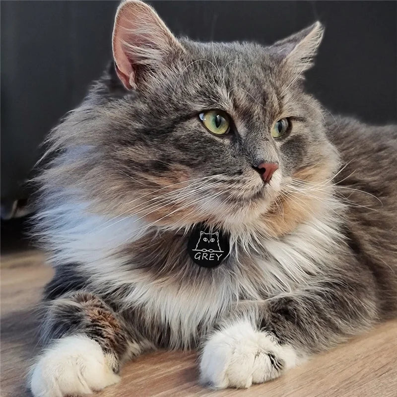 Pingente Toque Felino | Banhado a Ouro 18k