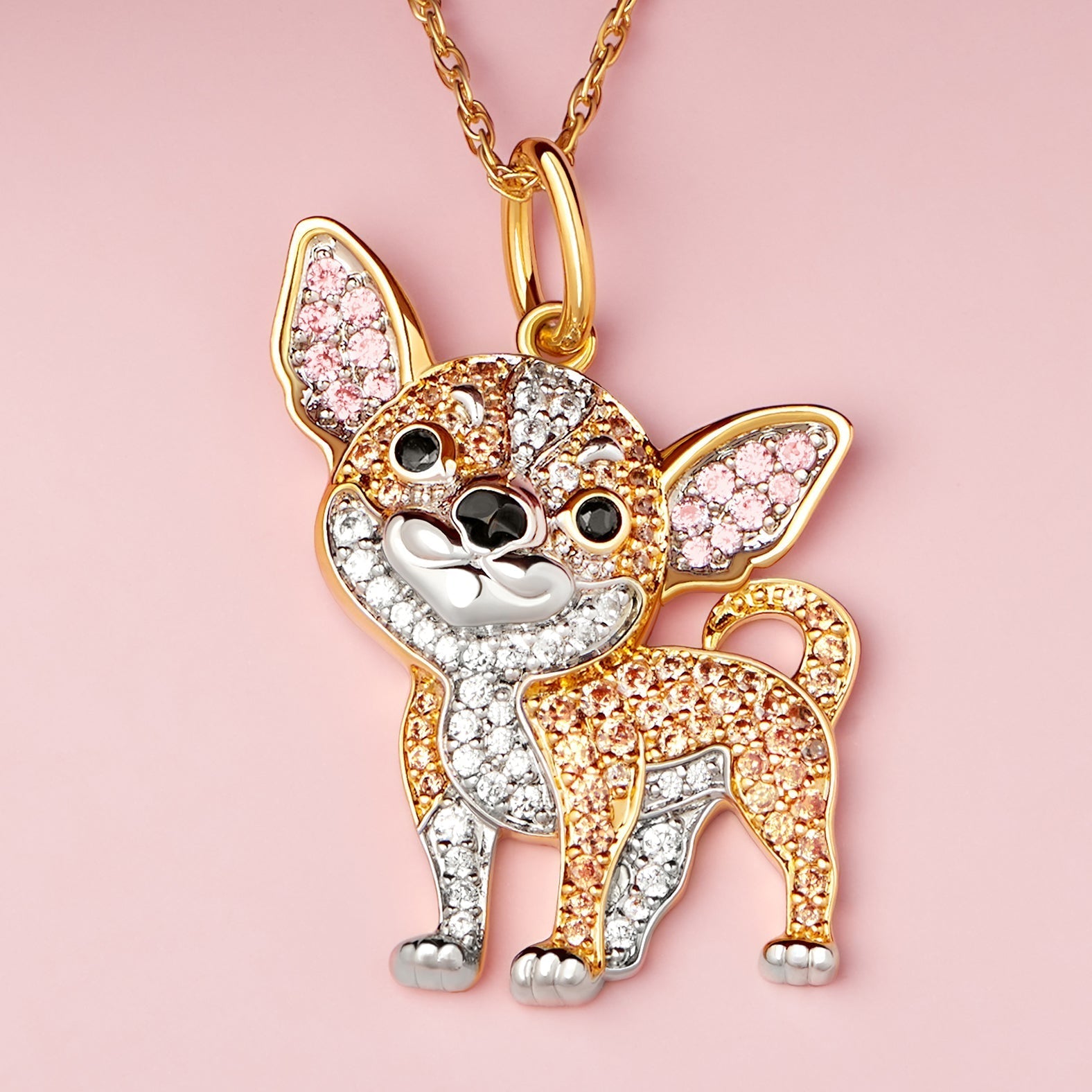 Colar + Pingente Chihuahua | Banhado em Ouro 18K
