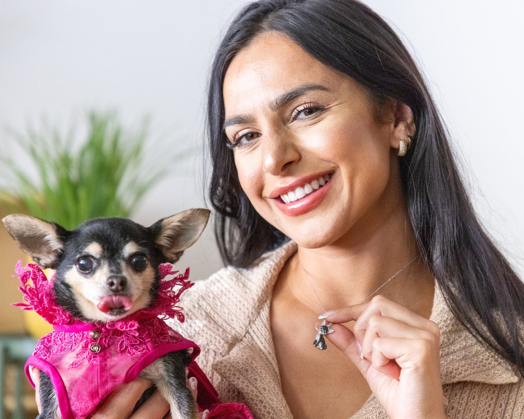 Colar + Pingente Chihuahua | Banhado em Ouro 18K