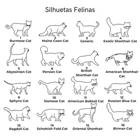 MyCat | Colar + Pingente Personalizado [PERSONALIZAÇÃO GRÁTIS POR TEMPO LIMITADO]