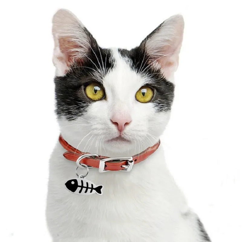 Pingente Pet ID | Com Gravação Personalizada