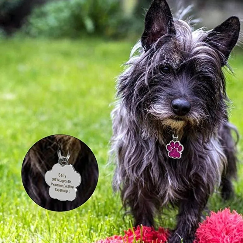 Pingente Pet ID | Com Gravação Personalizada